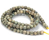 Natural Lotus Seed Bodhi Gemstone 6X5MM Rondelle Loose Beads 27 inch Strand (80018268-D472)