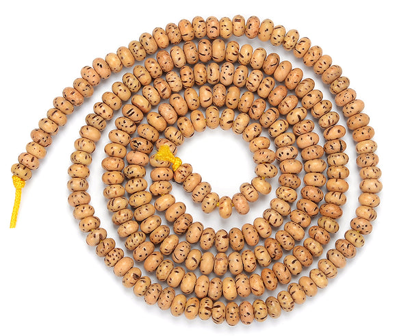 Natural Lotus Seed Bodhi Gemstone 5X3MM Rondelle Loose Beads 23 inch Strand (80018274-D472)