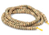 Natural Lotus Seed Bodhi Gemstone 5X3MM Rondelle Loose Beads 23 inch Strand (80018273-D472)