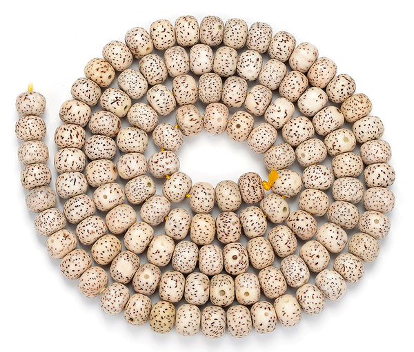 Natural Lotus Seed Bodhi 7X5MM 9X7MM Rondelle Loose Beads (D472)