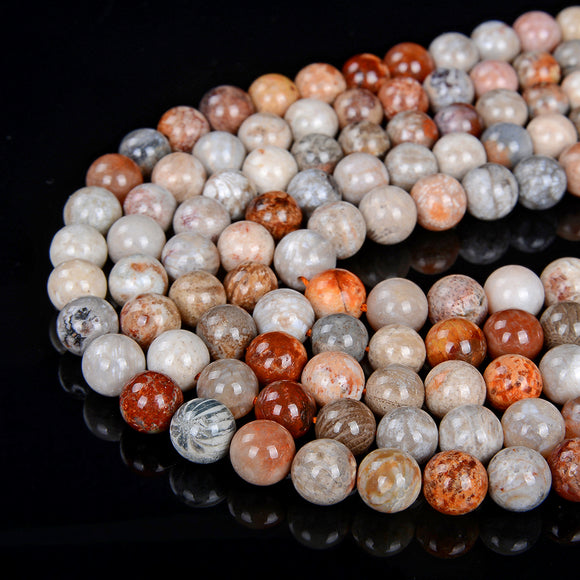 Natural Fossil Coral Gemstone Grade AAA Round 6MM 8MM Loose Beads (D13)