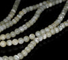 5mm White Sea Shell Gemstone Round Loose Beads 39 Beads (90144562-725B)