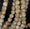 10MM Shell Gemstone Round Loose Beads 7.5 inch Half Strand (80000567 H-A74)