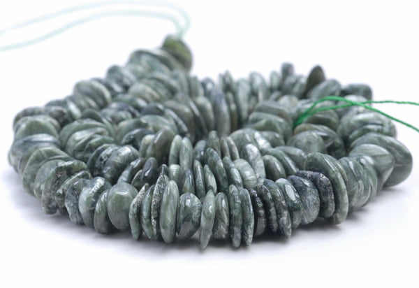 10-12MM Seraphinite Gemstone Rondelle Slice Chip Loose Beads 7.5 inch (80001821 H-A21)