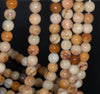 8MM Orange Peach Lace Jasper Gemstone Grade A Round Loose Beads 7.5 inch Half Strand (80002686 H-A90)