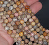 8MM Coral Fossil Gemstone Faceted Round Loose Beads 7.5 inch Half Strand (80003610 H-A168)