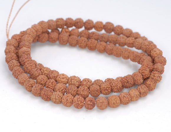 5-6MM Natural Rudraksha Bodhi Seed Round Loose Beads 21 inch (80004027-W11)