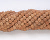 5-6MM Natural Rudraksha Bodhi Seed Round Loose Beads 21 inch (80004028-W11)