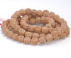 9MM Natural Rudraksha Bodhi Seed Round Loose Beads 21 inch (80004031-W11)