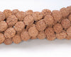 9-10MM Natural Rudraksha Bodhi Seed Round Loose Beads 38 inch (80004032-W11)