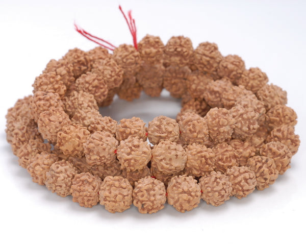 9-10MM Natural Rudraksha Bodhi Seed Round Loose Beads 38 inch (80004032-W11)