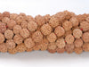 9-10MM Natural Rudraksha Bodhi Seed Round Loose Beads 38 inch (80004033-W11)