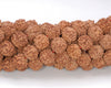 11MM Natural Rudraksha Bodhi Seed Round Loose Beads 42 inch (80004035-W12)