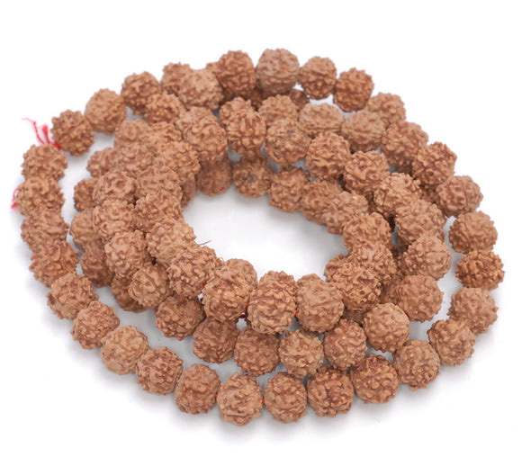 11MM Natural Rudraksha Bodhi Seed Round Loose Beads 42 inch (80004035-W12)