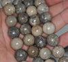 13MM Coral Fossil Gemstone ROUND Loose Beads 15.5 inch Full Strand (90184756-A124)