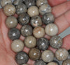 15MM Coral Fossil Gemstone ROUND Loose Beads 15.5 inch Full Strand (90184757-A124)