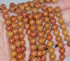 8MM Red Petrified Jasper Gemstone ROUND Loose Beads 15.5 inch Full Strand (90184783-A127)