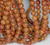 8MM Red Petrified Jasper Gemstone ROUND Loose Beads 15.5 inch Full Strand (90184783-A127)