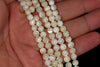 5mm White Sea Shell Gemstone Round Loose Beads 39 Beads (90144562-725B)