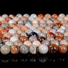 Natural Fossil Coral Gemstone Grade AAA Round 6MM 8MM Loose Beads (D13)