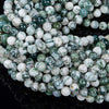 Natural Green Tree Agate Gemstone Grade AAA Round 6MM 8MM Loose Beads (D26)